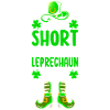 Fun Irish St. Patrick's Day