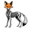 Fox Skeleton Illustration