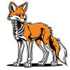 Fox Skeleton Illustration