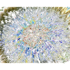 Dandelion, A731878