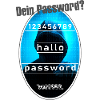 Password Kapuze grau
