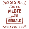 Pilote GÉNIALE rouge brunâtre foncé
