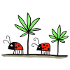 Lucky - Lucky Stoner