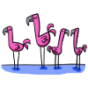 four flamingos