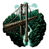 Jungle bridge