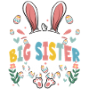 I'm The Big Sister Bunny