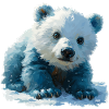 Icebear Baby