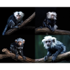 Baby Äffchen