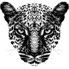 Leopard / Head / Black
