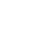 Veni vidi vici