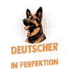 Hund Deutscher Schäferhund