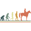 Evolution cheval