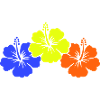 Flower Hibiscus