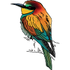 Bee-eater