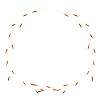Life finds a way, Dandelion