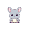 Petit chinchilla mignon