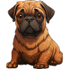 Chiot carlin assis