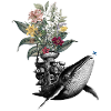 Congratulations – Frog, Whale, Flowers
