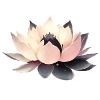 lotus flower