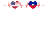USA Haiti Heartbeat American Haitian