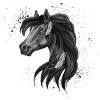 Graceful Black Horse Motif