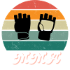 Retro-MMA-Kampfkunst