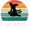 Retro Fighting Spirit MMA
