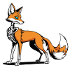 Fox Skeleton Illustration