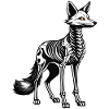 Fox Skeleton Illustration