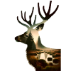 Nature in Deer Pattern