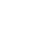 Année du Dragon 2024