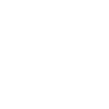 Année du Dragon 2024