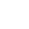 Année du Dragon 2024