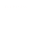 I Like Turtles Turtle