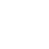Rib Cage skeleton