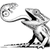 Chamäleon