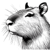 Capibara