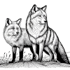 Wölf
