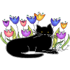 Chat