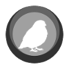 Bird Bird Pets