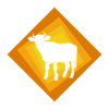 Cow Cattle Bull