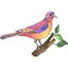 Bunter Vogel