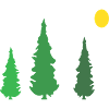 Forêt Nature Arbre
