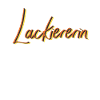 Maler Anstreicher Abschluss-Geschenk Lackiererin