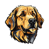 Golden Retriever Dog Head