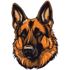 German Shepherd Dog Head