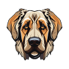Kangal Dog Head