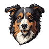 Border Collie Dog Head