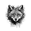 Fox Head Portrait Animal