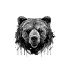 Bear Head Portrait Animal